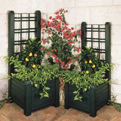 An attractive focal point for gardens or conservatories