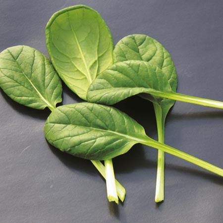 Unbranded Pak Choi Tatsoi Supi Seeds Average Seeds 950