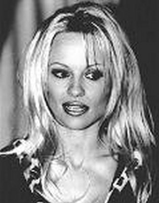 Unbranded Pamela Anderson CP0602