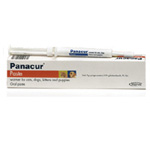 Unbranded Panacur S.A. Paste for Dogs and Cats (5g)
