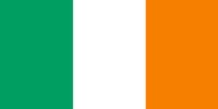 Unbranded Paper Bunting: 4m x 10 Flags Ireland