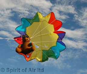 Go crazy in the sky with one of our amazing creature kites. These fascinating wacky creations look s
