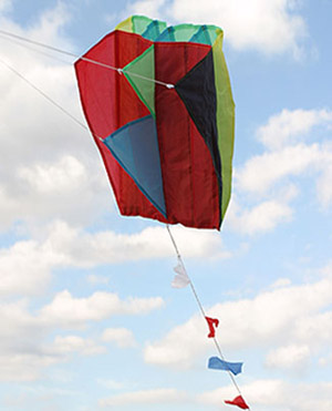 Unbranded Parafoil Kite in Bag