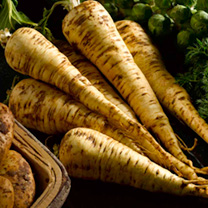 Unbranded Parsnip Seeds - Exhibition