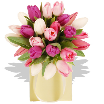 Unbranded Pastel Tulips Gift Bag - flowers