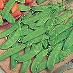 Unbranded Pea Oregon Sugar Pod Seeds 430335.htm