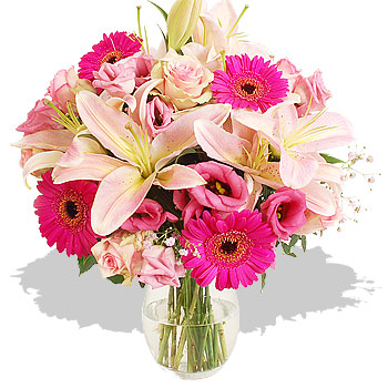 Unbranded Perfectly Pink - flowers