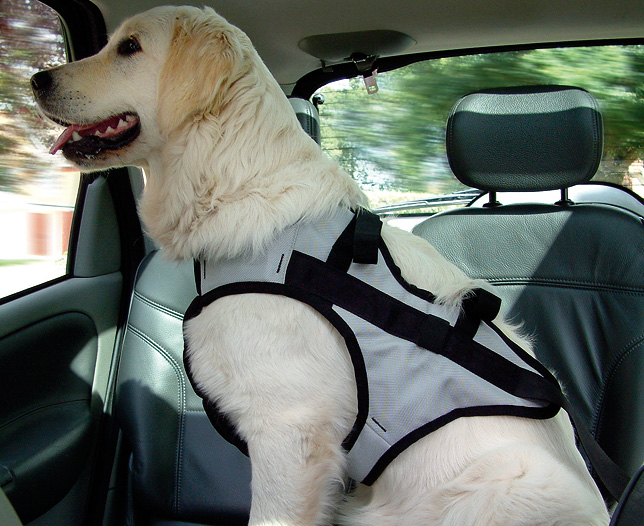 Unbranded Pet Harness - Large