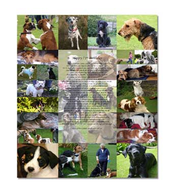 Unbranded Pet Lover Canvas Montage with Personalised Poem