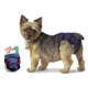 Pet Nappies XLarge