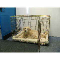 Petplanet Standard Cage.  This 2 door cage is easy to set-up and to fold-down.  There are no tools r