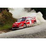 Peugeot 307 WRC Rally Set