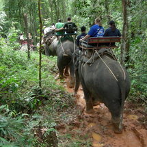 This fantastic combination tour combines a range of local activities including elephant trekking and