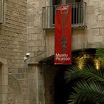 Picasso Walking Tour and Museum - Adult