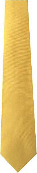 Plain Gold H/Rib Silk Tie