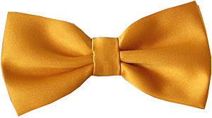 Unbranded Plain Orange Gold Bow Tie