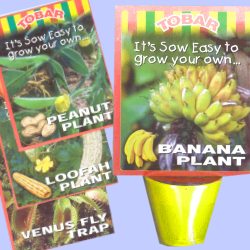 Plant - Grow your own - Mini - Assorted