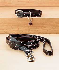 Polka Dot Collar and Lead Set