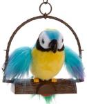 Polly The Insulting Parrot