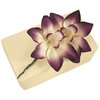 Unbranded Popular Selection (Huge) in ``Orchid`` Gift Wrap