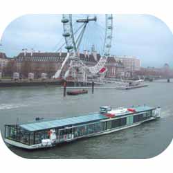 Premier Lunch Cruise and London Eye Trip