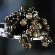 The finest Caspian Beluga Caviar that money can buy, available to you from London Fine Foods. 000 gr