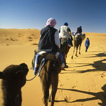 Unbranded Private Safari - Camel Riding and Sand Boarding