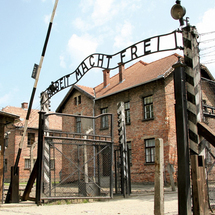 Unbranded Private Tour to Auschwitz-Birkenau - Private