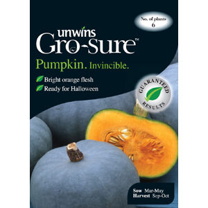 Unbranded Pumpkin Invincible Vegetable Seeds