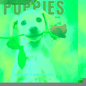 Puppies Calendar