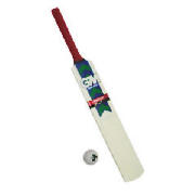 Unbranded Purist Cricket Bat And Ball Set Size 5