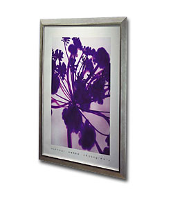 Purple Flower by Michael Banks