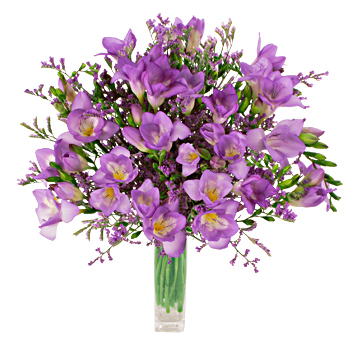 Unbranded Purple Freesias - flowers