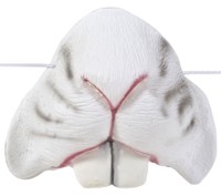Unbranded Rabbit Nose on Elastic