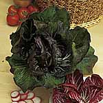 Unbranded Radicchio Palla Rossa Red Devil Seeds 438266.htm