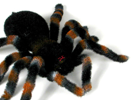 Watch this beast crawl with real spider-like movement. Its furry texture makes it seem like the real