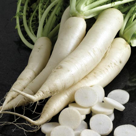 Unbranded Radish Mino Summer Cross F1 Seeds Average Seeds