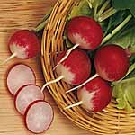 Unbranded Radish Sparkler 3 Seeds - Triplepack 438531.htm