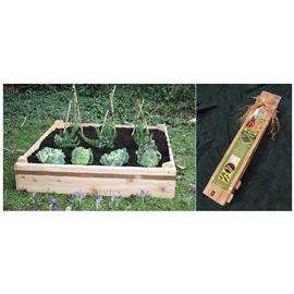 Unbranded Raised Beds- Grow Your Own- Square