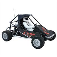 Unbranded Remote Controlled Rage? Buggy