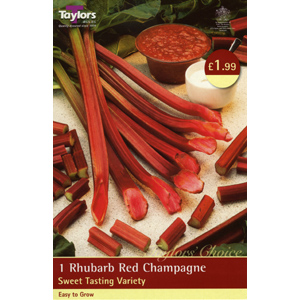 Unbranded Rhubarb Crown Red Champagne