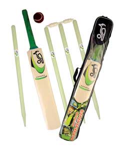 Premium cricket set featuring kashmir willow bat, 4 stumps, white PVC cricket ball, carry bag.