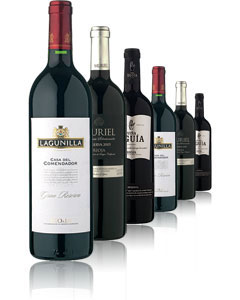 Unbranded Rioja Explorer Case 6 x 75cl Bottles