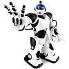 The Robosapien, a multi-function, programmable, dancing and jiving robot that looks not a little