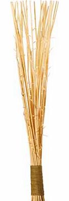 Get the cultured look with this beautiful light feature made from natural reeds and containing 100 pre-assembled non-replaceable micro bulbs. Must be placed in a vase or against a wall. Size H125cm. Bulbs required: 100 x (included). EAN: 9286650.