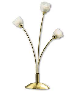 Rose Polished Brass Table Lamp