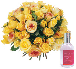 Roses and fragrances yellow 25 roses