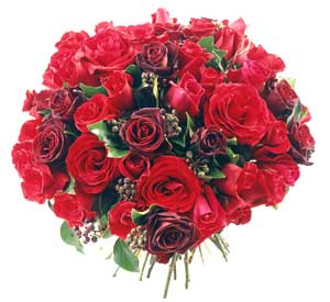 Round bouquet red 25 roses