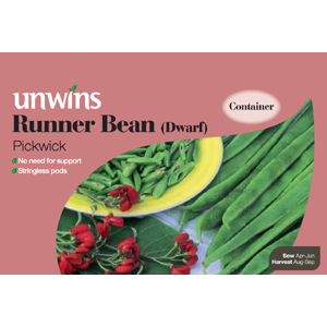 Unbranded Runner Bean Pickwick Seeds