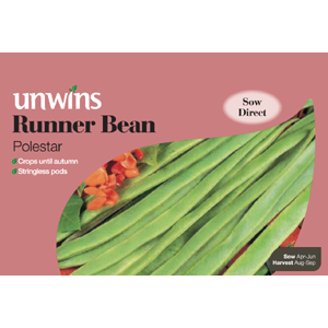 Unbranded Runner Bean Polestar Seeds